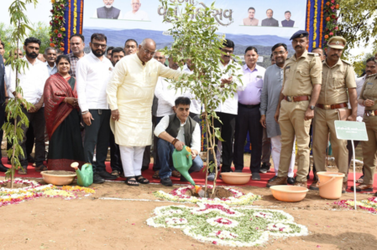 Gujarat: गांधीनगर में 77वें वन महोत्सव के मौके पर 551 देसी पेड़ लगाए गए