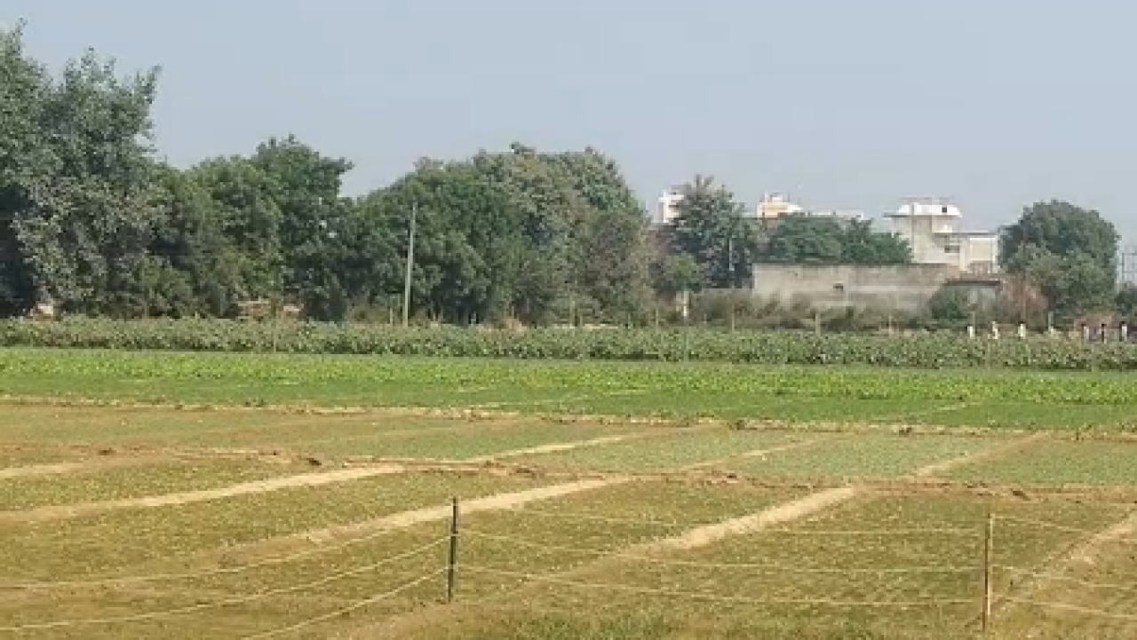 गाजियाबाद में हाईटेंशन करंट से दो महिलाओं की मौत, 18 वर्षीय युवती गंभीर रूप से घायल