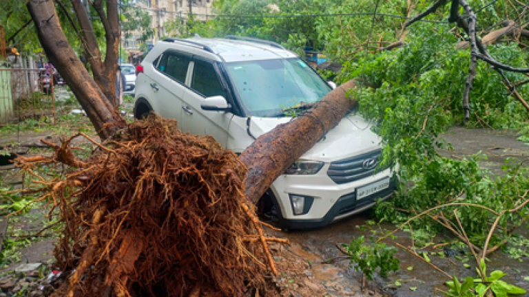 चक्रवात ‘अर्नब’ से आंध्र प्रदेश में सात मौतें, 4,600 करोड़ रुपए के नुकसान का अनुमान : सीएम नायडू