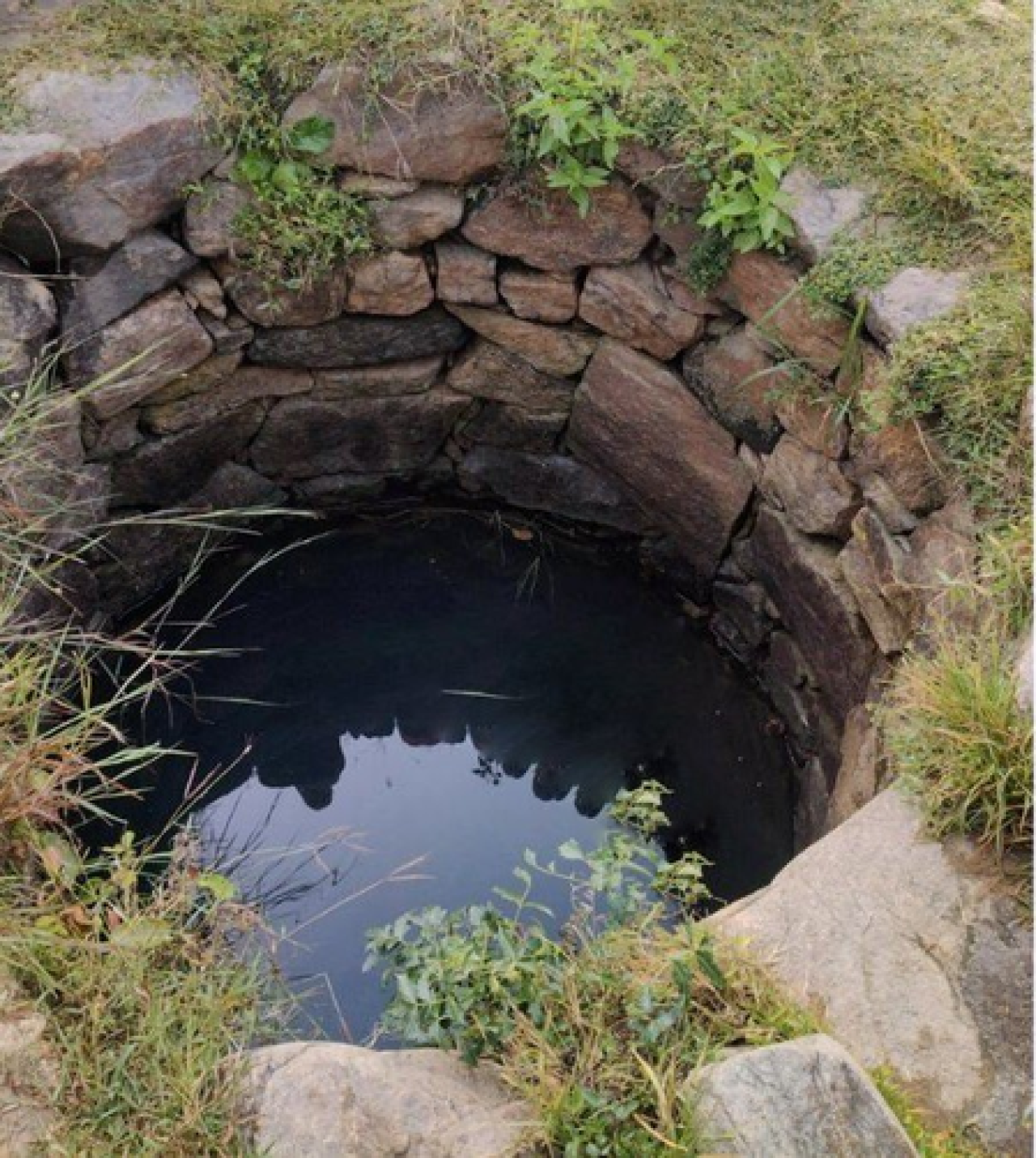 Jharkhand : कोडरमा में कुएं से महिला का शव बरामद, परिजनों ने जताई हत्या की आशंका