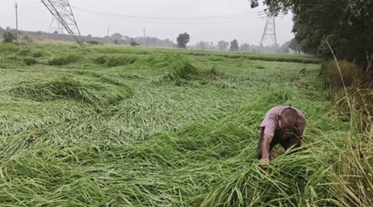 बिहार में भारी बारिश और तूफान; सीतामढी, मधुबनी के लिए जारी हुआ रेड अलर्ट