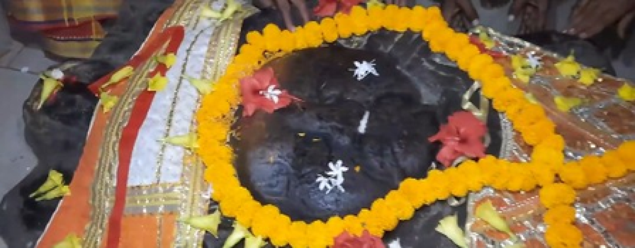 Madhya Pradesh के विदिशा में रावण गांव की अनोखी परंपरा, दशहरे पर बाबा की पूजा, नहीं होता पुतला दहन