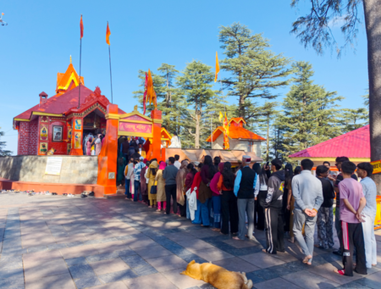 Himachal Pradesh के सात प्रमुख मंदिरों और शक्तिपीठों में दस लाख से अधिक श्रद्धालुओं ने दर्शन किए