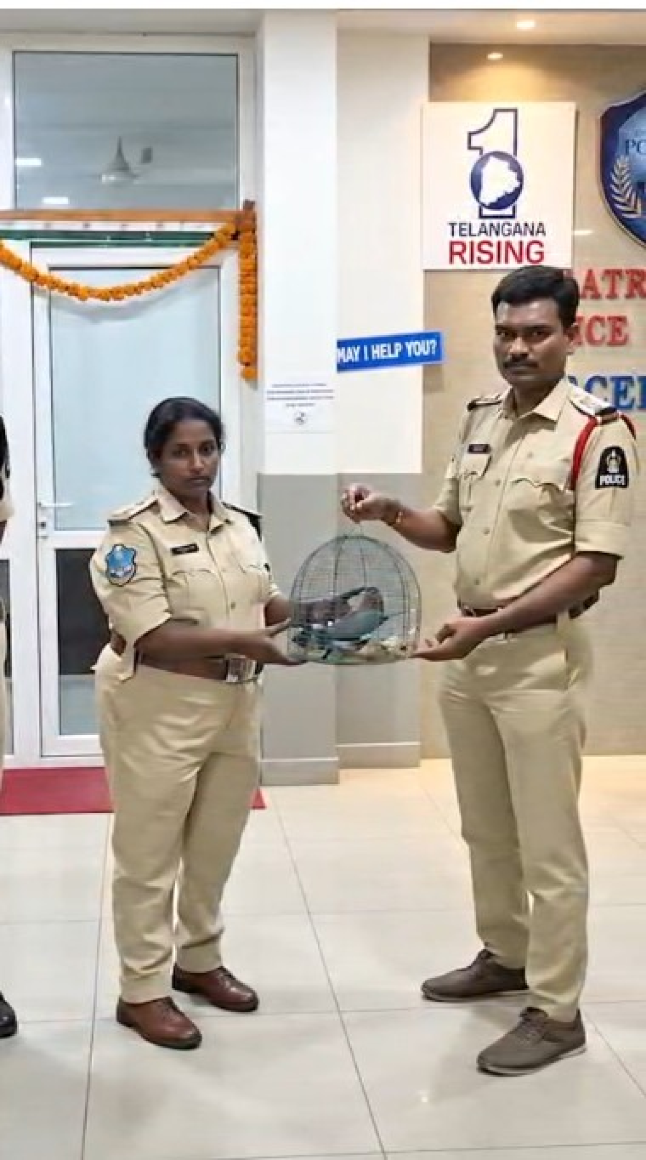 हैदराबाद में दशहरा पर अंधविश्वास की भेंट चढ़ने से चार इंडियन रोलर पक्षियों को Police ने बचाया